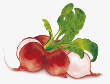 Vegetable Organic Food Vegetarian - Ilustração Cesto De Legumes, HD Png Download, Transparent PNG