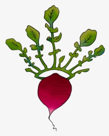 Illustration Of A Radish With A Leaf Crown, HD Png Download, Transparent PNG