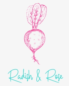 Red Cabbage, HD Png Download, Transparent PNG