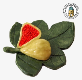 Fig Leaf With A Fig - Magnet Suvenir Rijeka, HD Png Download, Transparent PNG