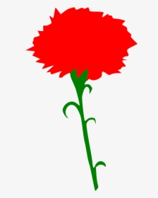 International Working Women S Day - Red Carnation Clipart, HD Png Download, Transparent PNG