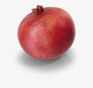 Pomegranate Free Png Image - Pomegranate, Transparent Png, Transparent PNG