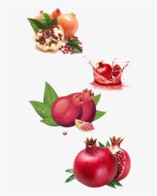 Pomegranate Png, Transparent Png, Transparent PNG
