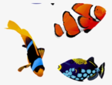 Transparent Colorful Fish Png, Png Download, Transparent PNG