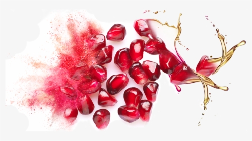 Bulk Supply & Manufacture Of Pomegranate Seed Oil & - Pomegranate Seed Oil Png, Transparent Png, Transparent PNG