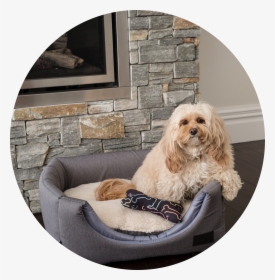 La Doggie Vita Water Resistant Dog Cube New, HD Png Download, Transparent PNG