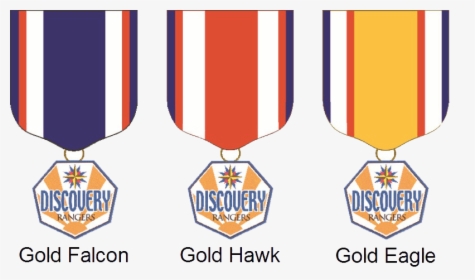 Picture - Discovery Rangers Gold Eagle Medal, HD Png Download, Transparent PNG