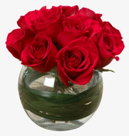 Valentine Single Roses Png, Transparent Png, Transparent PNG