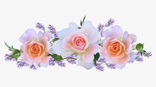 Lavender Roses Images - Lavender With Roses Petals Hd, HD Png Download, Transparent PNG