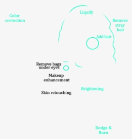 Diagram, HD Png Download, Transparent PNG