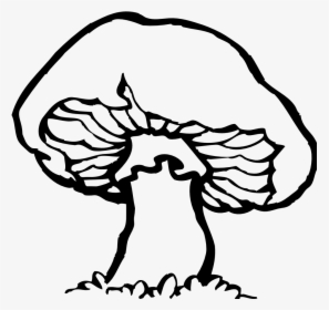 Mushroom Black And White, HD Png Download, Transparent PNG