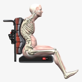 Spex Accomplishes What The Clinician Desires, And What - Anterior Pelvic Tilt In Wheelchair, HD Png Download, Transparent PNG