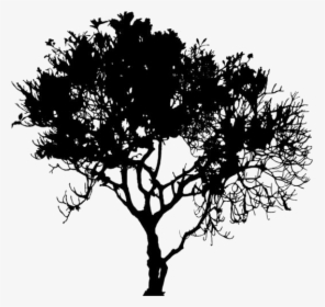 Tropical Trees Png Transparent Images - Silhouette, Png Download, Transparent PNG
