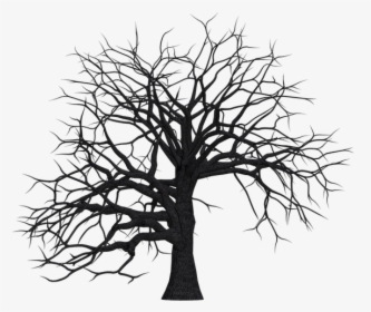 Tree, Digital Art, Isolated, Without Leaves, Leafless - Dead Trees Clip Art, HD Png Download, Transparent PNG