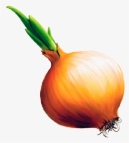 Onion Png Free Download - Onion Clipart Transparent, Png Download, Transparent PNG