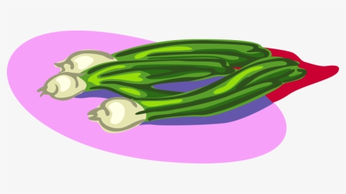 Vector Illustration Of Scallion Onion Shallot Vegetable - Illustration, HD Png Download, Transparent PNG