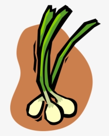 Vector Illustration Of Green Scallion Onion Vegetable - Green Onions Clipart Png, Transparent Png, Transparent PNG