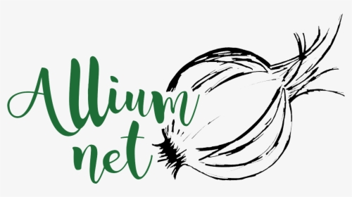 Alliumnet - Red Onion, HD Png Download, Transparent PNG