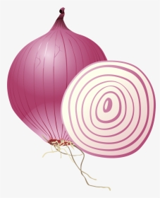 Red Onion, HD Png Download, Transparent PNG