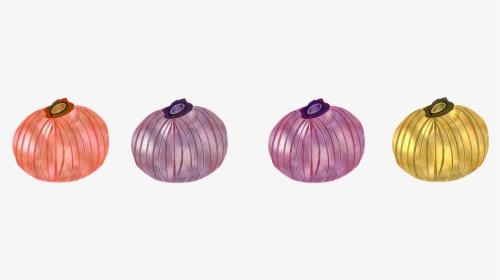 Onion Vegetable Market Free Photo - Red Onion, HD Png Download, Transparent PNG