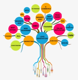Social Media Networking - Social Media Marketing Tree, HD Png Download, Transparent PNG