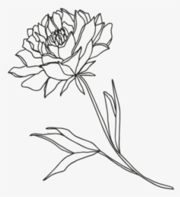 Flower3-01, HD Png Download, Transparent PNG