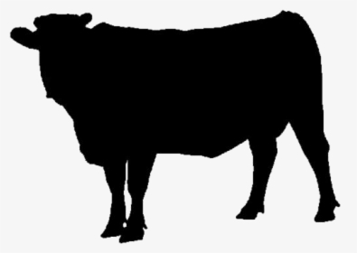 Cow Animal Png Hd Transparent Wallpaper - Animal, Png Download, Transparent PNG