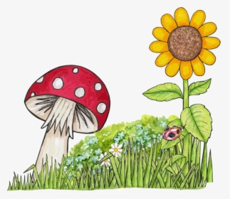 Nature Nature Images Image Hd Photos Clipart - Mushroom And Sunflower, HD Png Download, Transparent PNG