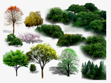 Tree Png File Hd Clipart - Png Planting, Transparent Png, Transparent PNG