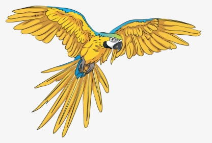 Transparent Flying Parrot Png, Png Download, Transparent PNG