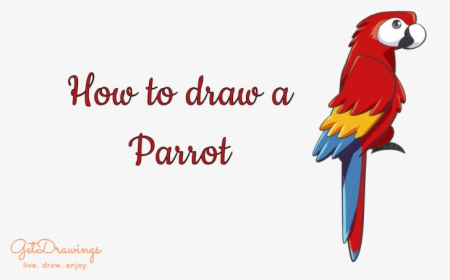 How To Draw A Parrot - Macaw, HD Png Download, Transparent PNG