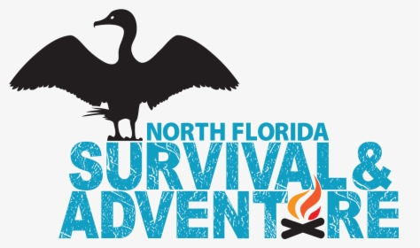 About Us North Florida - Water Bird, HD Png Download, Transparent PNG