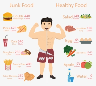 Charts On Food And Nutrition, HD Png Download, Transparent PNG