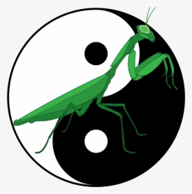 Transparent Mantis Png - Praying Mantis Kung Fu Logo, Png Download, Transparent PNG