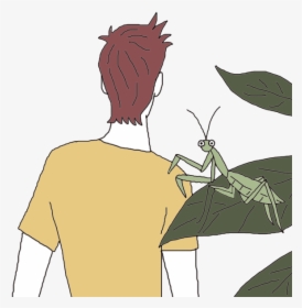 Mantis - Cartoon, HD Png Download, Transparent PNG