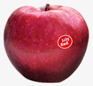 Apple Joly Red, HD Png Download, Transparent PNG