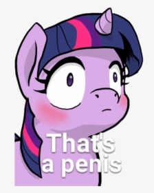 Twilight Sparkle Rarity Pinkie Pie Pony Pink Facial - My Little Pony Lewd Meme, HD Png Download, Transparent PNG
