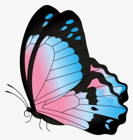 Borboleta Azul E Rosa - Transparent Background Monarch Butterfly Clipart, HD Png Download, Transparent PNG