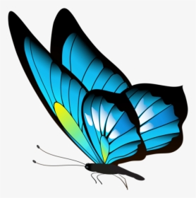 Borboleta Azul E Preta - Cute Bird Drawing Easy, HD Png Download, Transparent PNG
