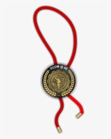 Medal, HD Png Download, Transparent PNG