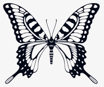 Butterfly Png Images Hd, Transparent Png, Transparent PNG