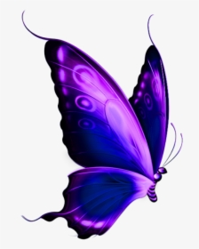 Borboleta Roxa E Preta 5 - Transparent Background Butterfly Png, Png Download, Transparent PNG