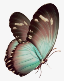 Blue Butterfly Invisible Background , Png Download - Butterfly Papillon Png, Transparent Png, Transparent PNG