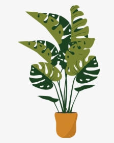 Plant Png, Transparent Png, Transparent PNG