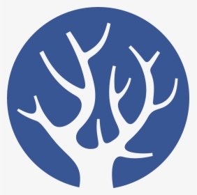 Tree Eco Logo, HD Png Download, Transparent PNG