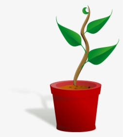 Getting To Know Plants, HD Png Download, Transparent PNG