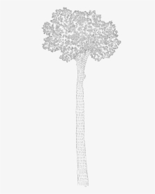 Sketch, HD Png Download, Transparent PNG