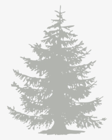 Chinook Fest - Pine Tree Flat Design, HD Png Download, Transparent PNG