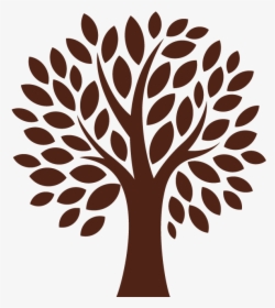Tree With Four Branches, HD Png Download, Transparent PNG