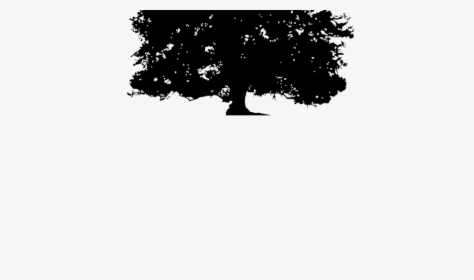 Transparent Background Silhouette Oak Tree Png, Png Download, Transparent PNG
